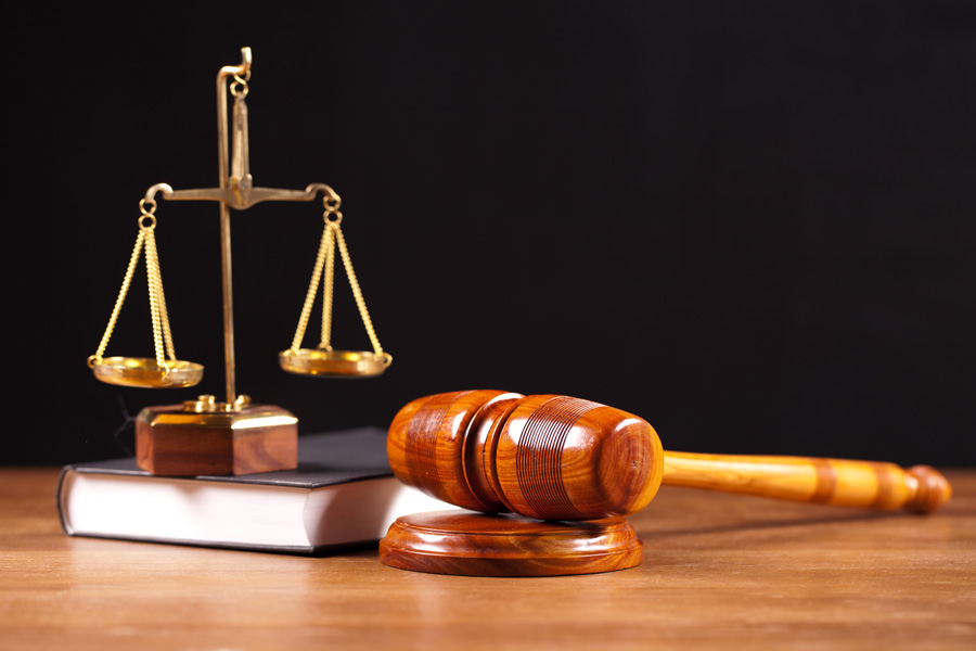 愛與責任:上海律師論述動物收容所的法律義務